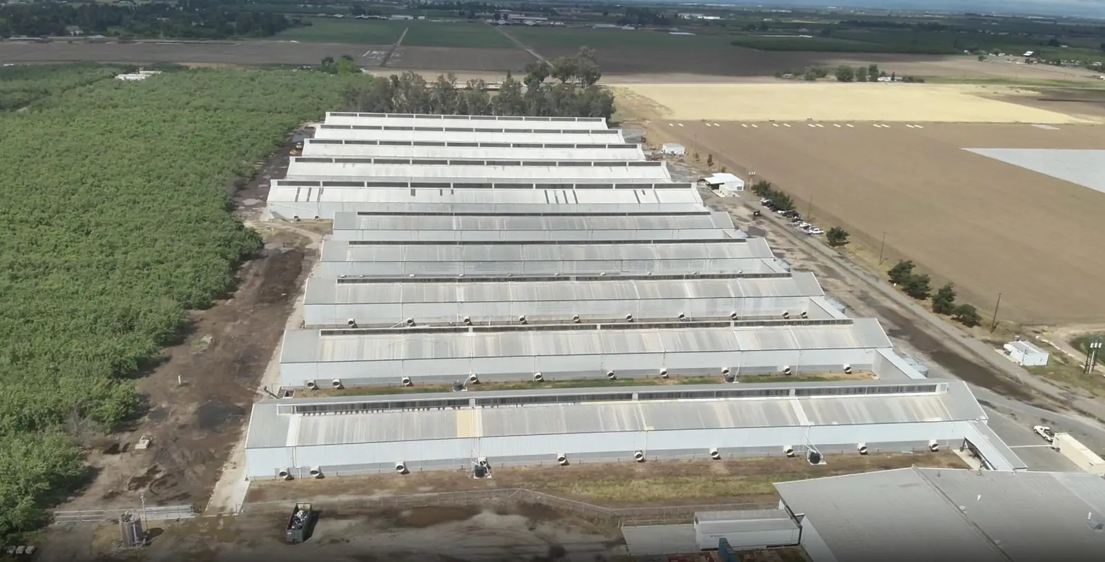 Avian Flu outbreaks in California