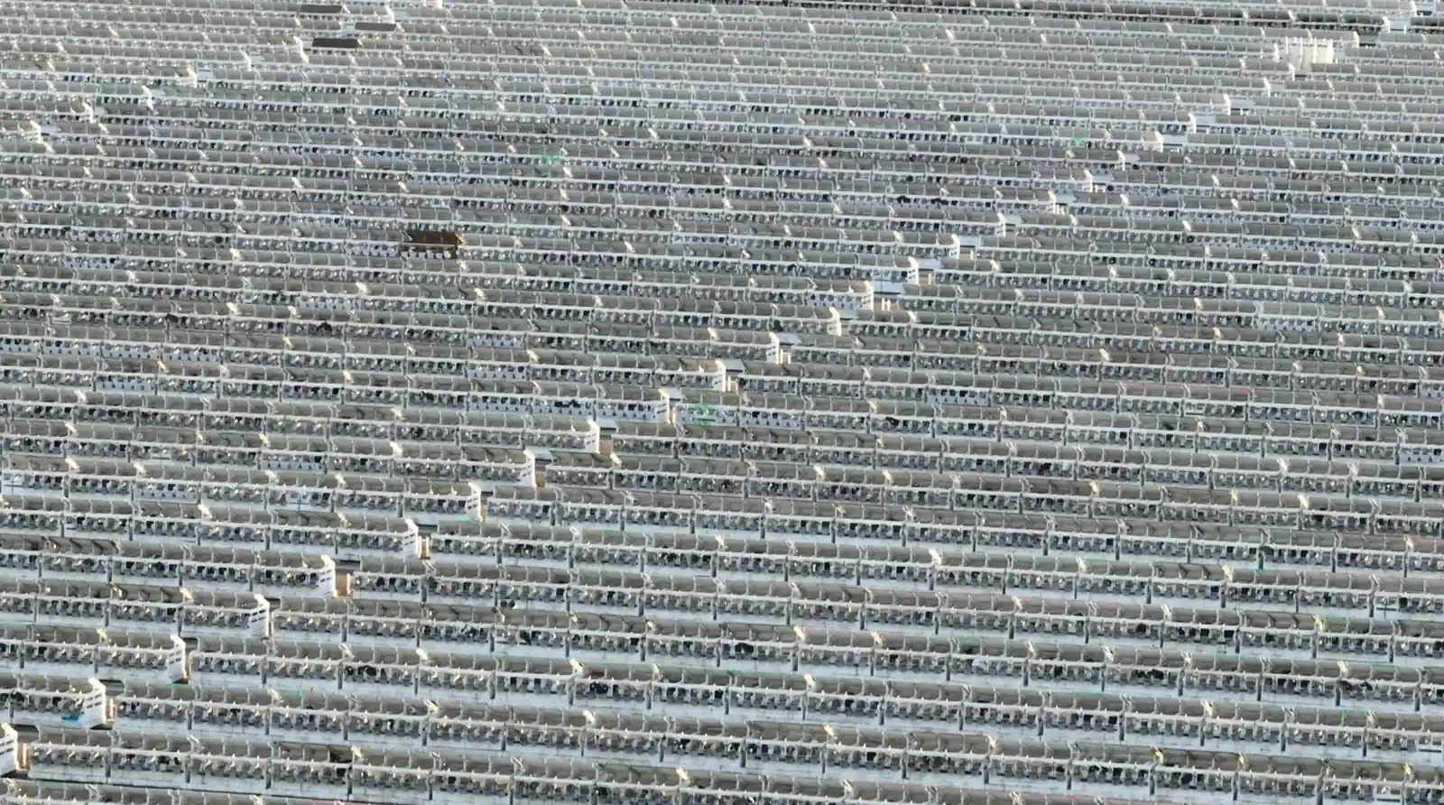 Shot of many rows of hutches at Grimmius Cattle Company
