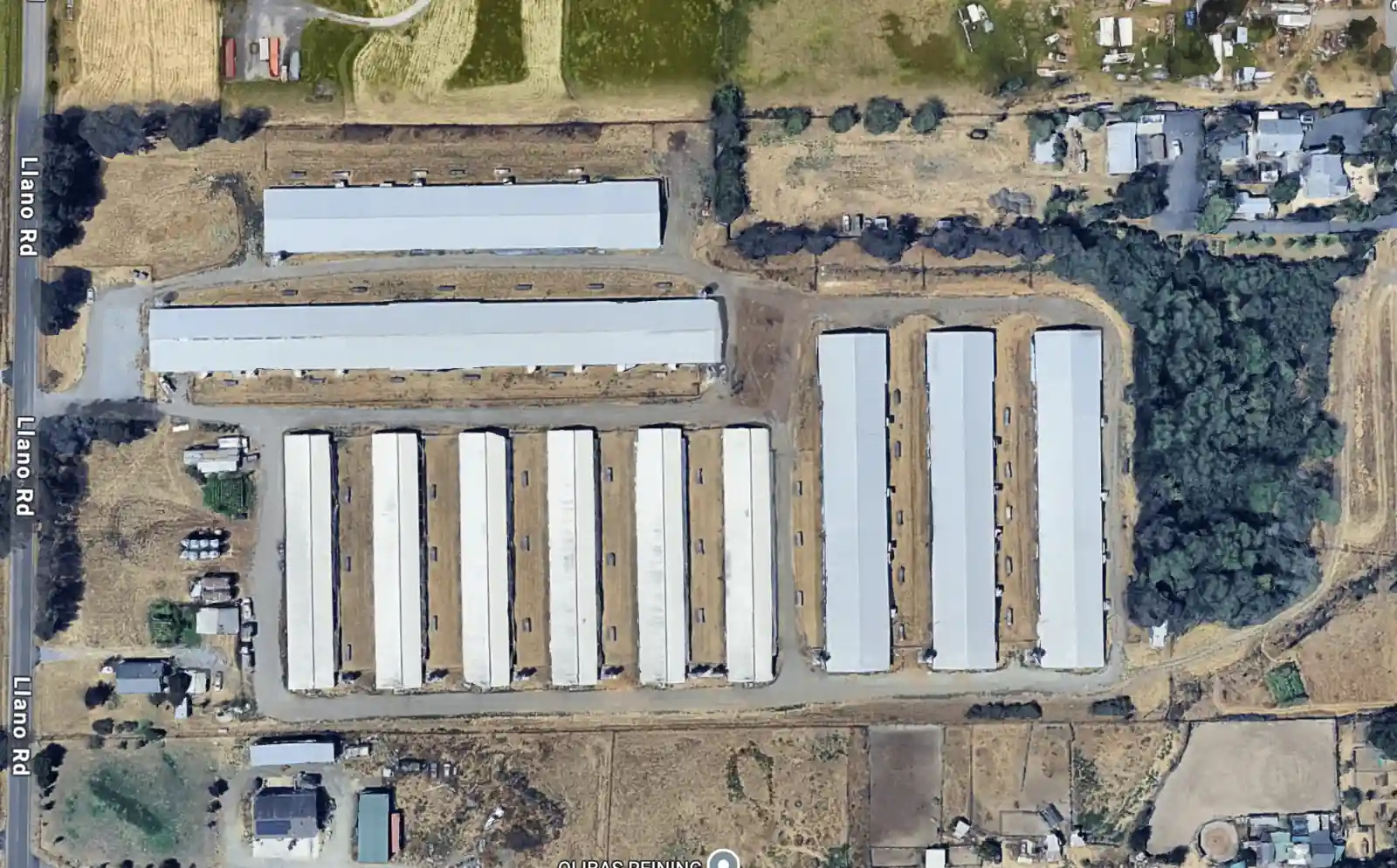 Overhead view of Petaluma Poultry's Llano facility