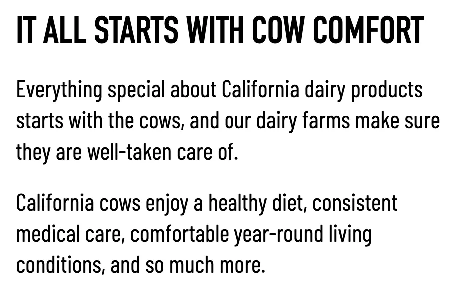 CMAB foodservice website: It all starts with cow comfort. California cows enjoy a healthy diet, consistent medical care, comfortable year-round living conditions, and so much more.