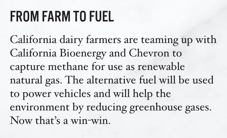 Real California Milk sustainability page: From farm to fuel. California dairy farmers are teaming up with California Bioenergy and Chevron. Now that's a win-win.