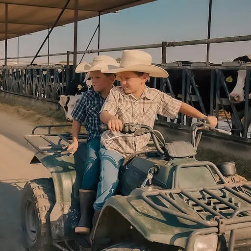 Two boys in cowboy hats ride an ATV past cows locked in a feed lane, from Real California Milk's Growing Up Free Range video