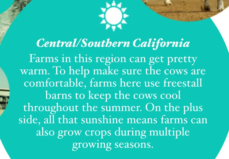 Real California Milk map popup for Central/Southern California: Farms in this region can get pretty warm.