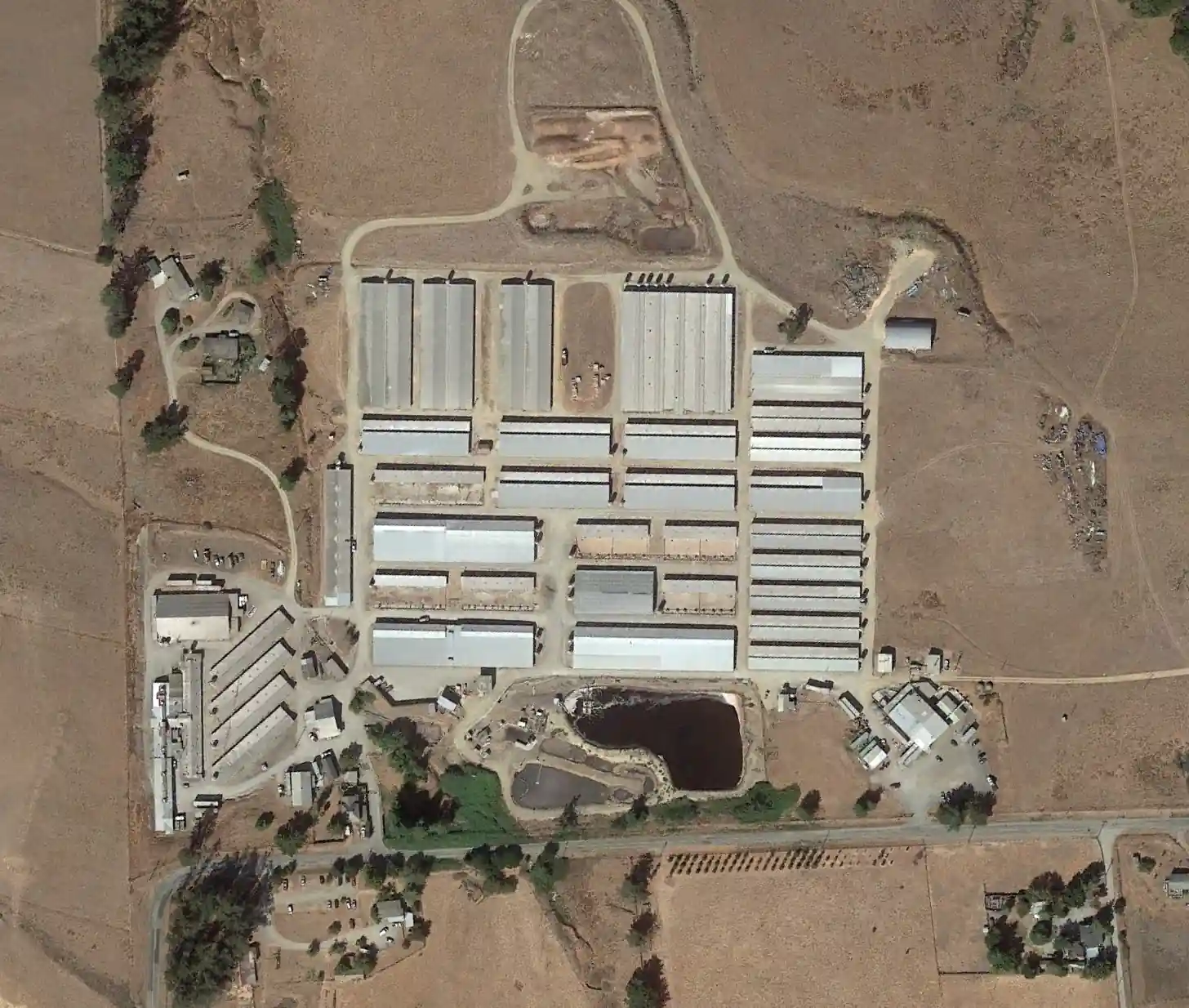 An overhead view of Reichardt Duck Farm. Each warehouse can contain tens of thousands of ducks.