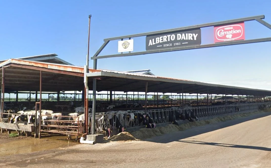 Alberto Diary with Nestle and Real California Milk logos
